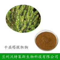 千層塔提取物 石杉堿甲1%千層塔浸膏 千層塔粉