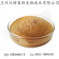 雞腿菇提取物 10%含量雞腿菇多糖