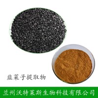 廠家供應 韭菜籽提取物 20:1 韭菜提取粉 保健原料
