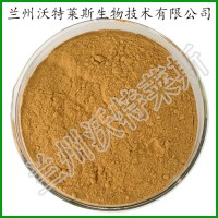 洋蔥 植物蔬菜粉 洋蔥汁粉 常年供應
