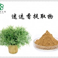 迷迭香提取物10:1 迷迭香粉 全水溶原料