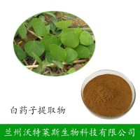 白藥子提取物 白藥子多肽 白藥根粉 山烏龜提取物 白藥子提取