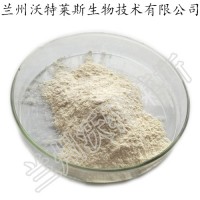 香蕉粉 香蕉噴霧干燥粉 香蕉提取物