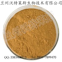 報春花提取物 10：1比例 報春花粉  現貨供應