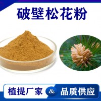破壁松花粉 廠家供應松花粉 藥食同源 松花孢子粉