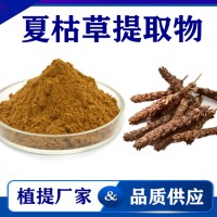 夏枯草提取物 植提廠家供應夏枯草粉 藥食同源