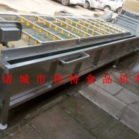 龍眼氣泡清洗機 水果清洗機 水果氣泡清洗機