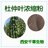 杜仲葉濃縮粉杜仲葉水溶粉杜仲葉浸膏粉