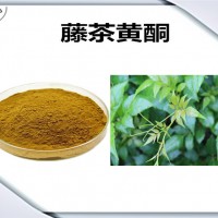 藤茶提取物 藤茶黃酮 藤茶粉 植物提取物原料