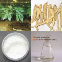 人參皂苷Re 植提物