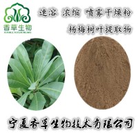 楊梅葉提取物黃酮10:1楊梅樹葉粉80目 楊梅樹皮提取物
