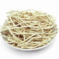 斯諾特廠家魚腥草提取物現(xiàn)貨