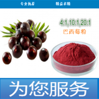 巴西莓粉水果粉水溶可代工成品