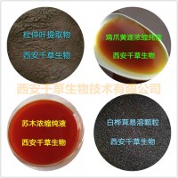 甜葶藶提取物甜葶藶濃縮粉甜葶藶浸膏粉