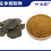 玄參提取物玄參甙 植提廠家供應(yīng)玄參粉