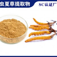 冬蟲夏草提取物 植提廠家供應冬蟲夏草粉