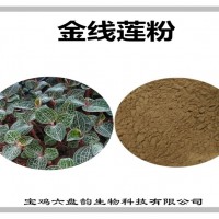 金線蓮速溶粉 水溶性原料 金線蓮粉