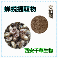 水溶性蟬蛻提取物蟬蛻粉 廠家供應多規格蟬蛻濃縮原液