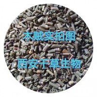 水溶性木賊提取物木賊粉 廠家供應多規格木賊濃縮原液