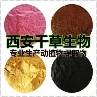 月季花葉提取物
