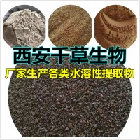三顆針提取物三顆針濃縮粉三顆針浸膏粉