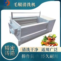 全自動不銹鋼除泥除沙去皮根莖類果蔬凈菜成套設備毛輥清洗機價格