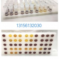 乳酸菌試劑盒