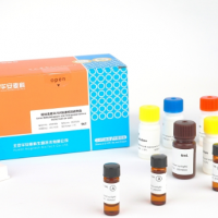 嘔吐毒素ELISA快速檢測試劑盒 糧油檢測