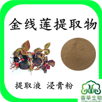 金線蓮提取物  金線蓮粉  金線蓮濃縮粉 金線蓮提取液