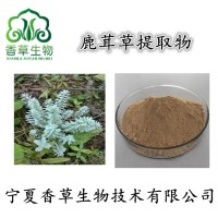 鹿茸草提取物10:1 多種比例 鹿茸草速溶粉 水溶性鹿茸草粉