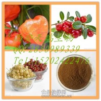 醋栗提取物   醋栗浸膏粉