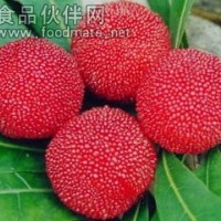 楊梅濃縮粉
