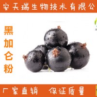 黑加侖粉 濃縮黑加侖果汁粉 速溶果粉