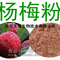 楊梅果粉  楊梅濃縮萃取