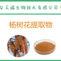 楊樹花提取物10：1 楊樹花多糖 飼料級楊樹花粉