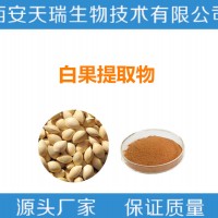 白果提取物 速溶白果粉  銀杏果提取物