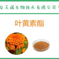 葉黃素酯10% 萬壽菊提取物 食品級葉黃素
