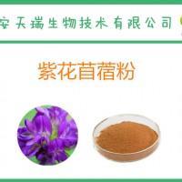 紫花苜蓿提取物  紫花苜蓿濃縮粉