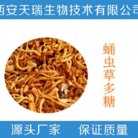蛹蟲草多糖20% 蛹蟲草粉 蛹蟲草提取物