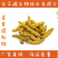 水溶性姜黃素15% 姜黃根提取物 飲料食品用姜黃素