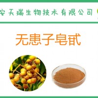 無患子皂甙40% 無患子提取物10：1 無患子果提取物
