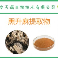 黑升麻提取物10:1  黑升麻粉