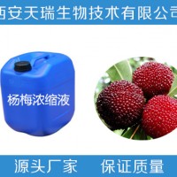 楊梅粉 99% 速溶楊梅粉 廠家現(xiàn)貨 固體飲料原料