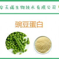 豌豆蛋白 蛋白質(zhì)≥80% 豌豆提取物  固體飲料代餐粉