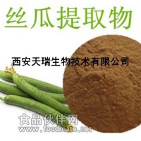 絲瓜提取物 10:1植物絲瓜萃取