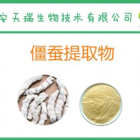 僵蠶提取物20:1 水溶粉 白僵蠶 /天蟲 /僵蟲