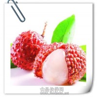 荔枝粉 荔枝浸膏粉
