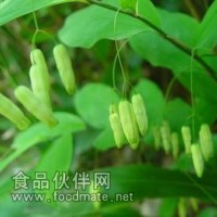 黃精提取物   黃精粉   黃精浸膏粉 龍銜、太陽草、白及