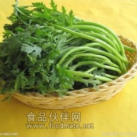 茼蒿提取物   茼蒿浸膏粉   茼蒿濃縮粉
