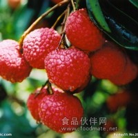 荔枝提取物   荔枝浸膏粉   荔枝粉